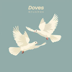 Doves