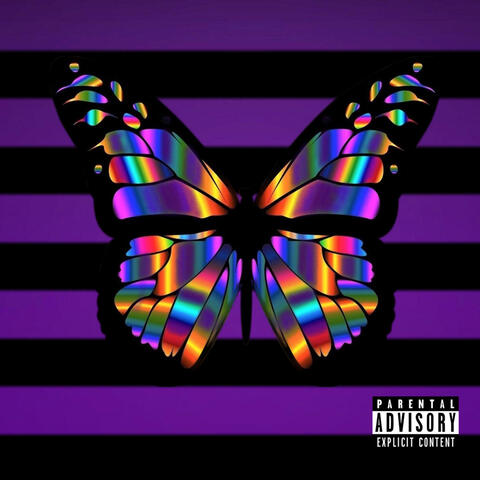BUTTERFLY (HOW WE JUST VIBE)