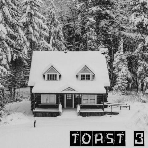 TOAST 3