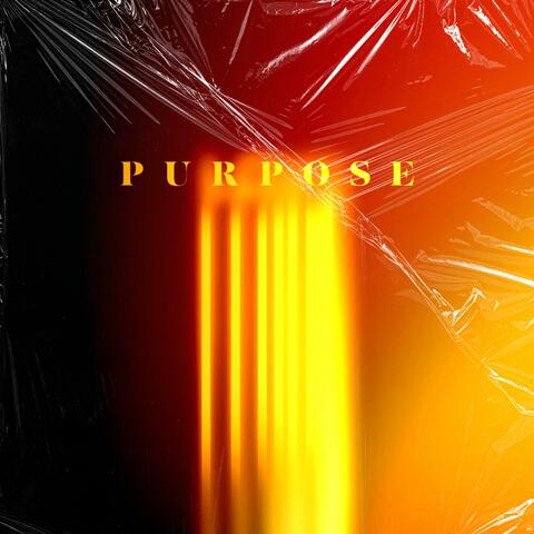 Purpose