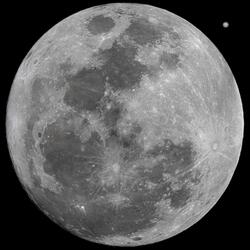 Moon Aliens