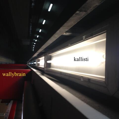 Kallisti