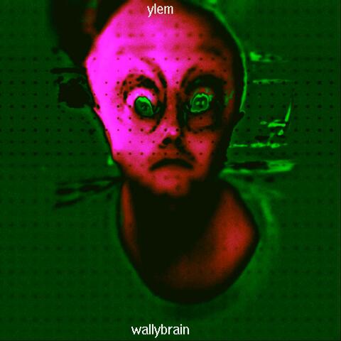 ylem