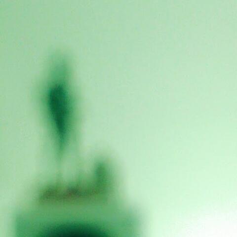 Solipsistic Dim Light