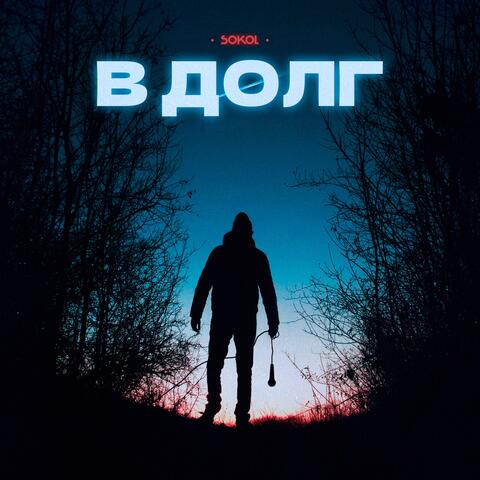 В ДОЛГ