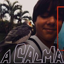 A Calma