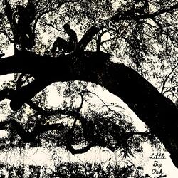 Little Big Oak