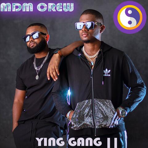 Ying Yang 2