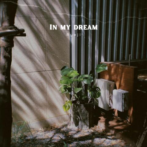 in my dream