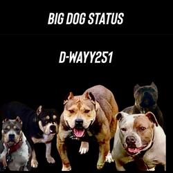 Big Dog Status