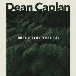 The Dance of Cedar Leaves