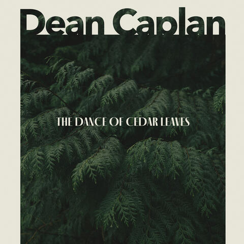 The Dance of Cedar Leaves