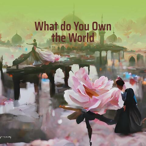 What do You Own the World