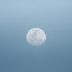 New Moons