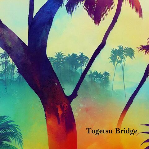 Togetsu Bridge
