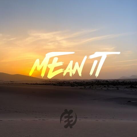 Mean It