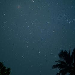 생각 위를 걷는 밤