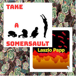 Take a Somersoult