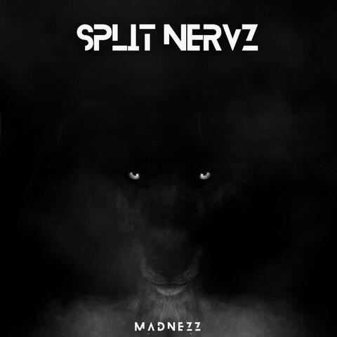 SpliT NervZ