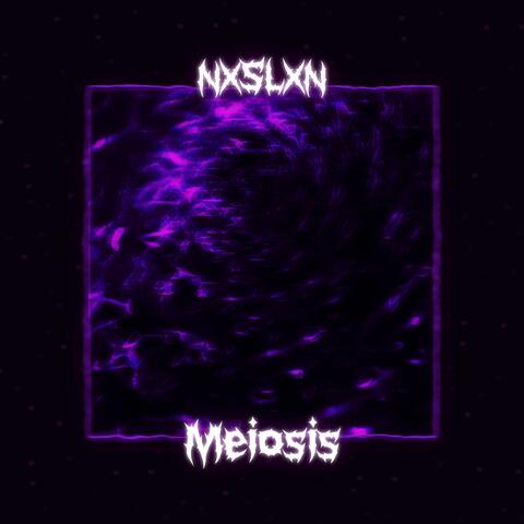 Meiosis