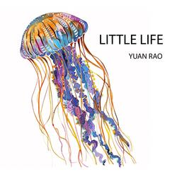 Little Life