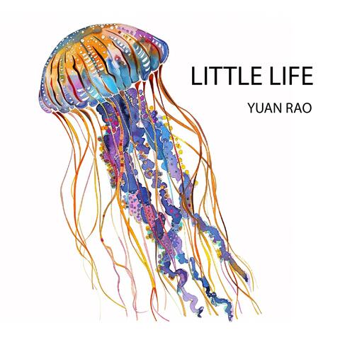 Little Life