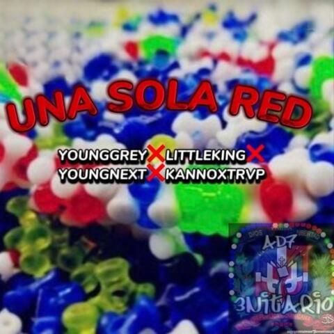 Una Sola Red