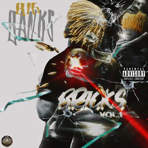 Bricks Vol. 1