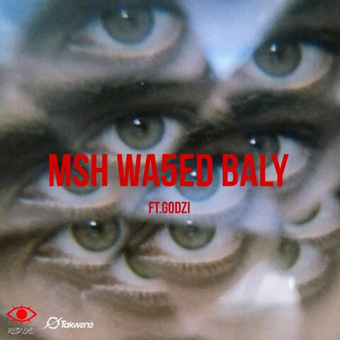 Msh Wakhed Baly