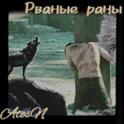 Рваные раны