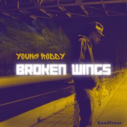 Broken Wings