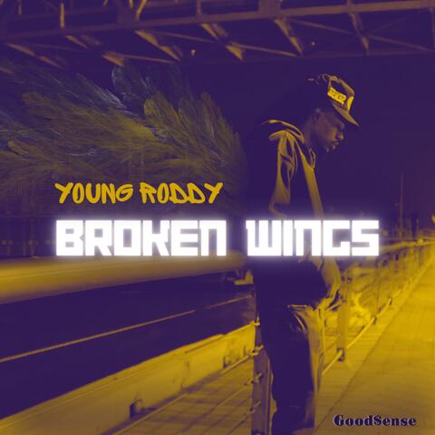 Broken Wings