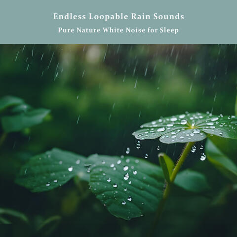 Endless Loopable Rain Sounds: Pure Nature White Noise for Sleep