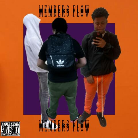 Members Flow