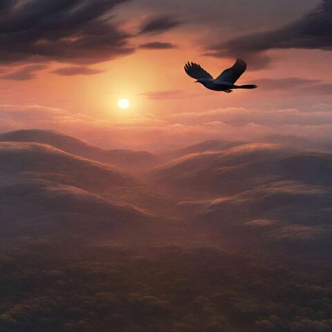 Early Bird