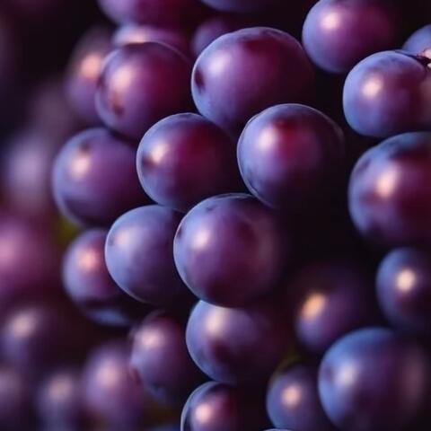 Grapes 4 Yo Dawg