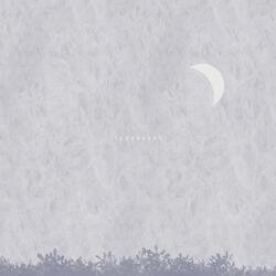 가만히 들여다 보다