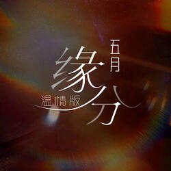 緣分 (溫情版)