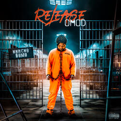 Release OMOD
