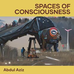 Spaces of Consciousness