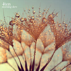 morning dew