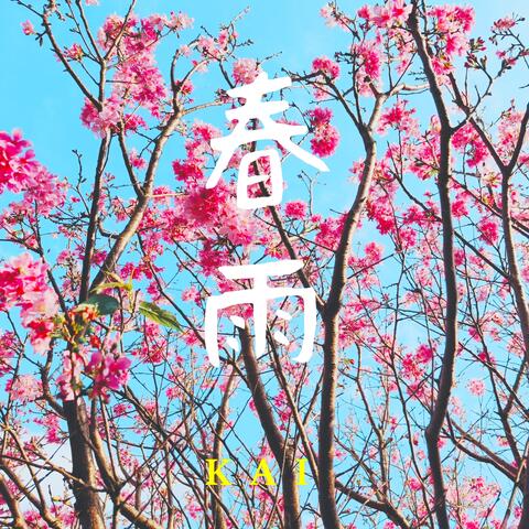 春雨