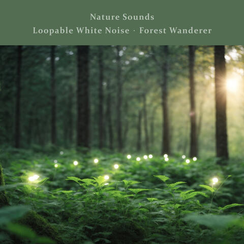 Nature Sounds: Loopable White Noise, Forest Wanderer