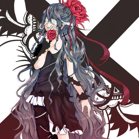 リフレクションナイト