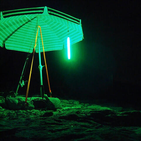 Nightscapes