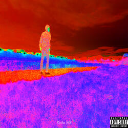 掃除機かけてる