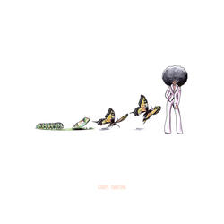 Metamorphosis