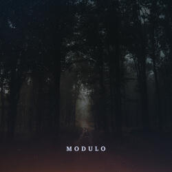Modulo