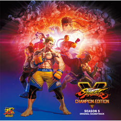 Street fighteR V