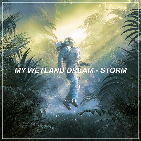 My Wetland Dream - Storm